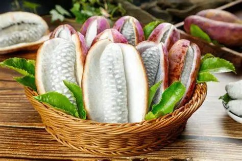 中药材之八月瓜